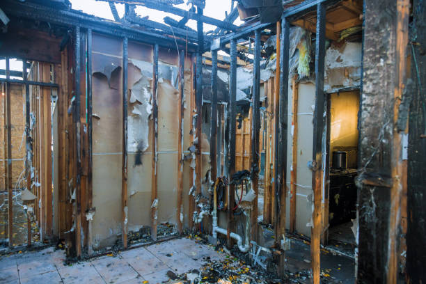 Professional Fire Damage Assessment technician working in Leesburg, OH